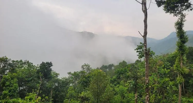 Newcastle Holidays & Resorts 5 Bhk Entire Property With Kitchen 15 Guests Near Munnar Idukki 0*,