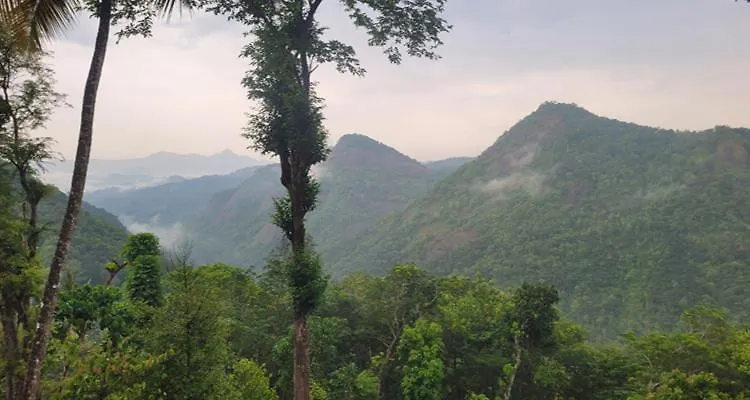 Vila Newcastle Holidays & Resorts 5 Bhk Entire Property With Kitchen 15 Guests Near Munnar Idukki