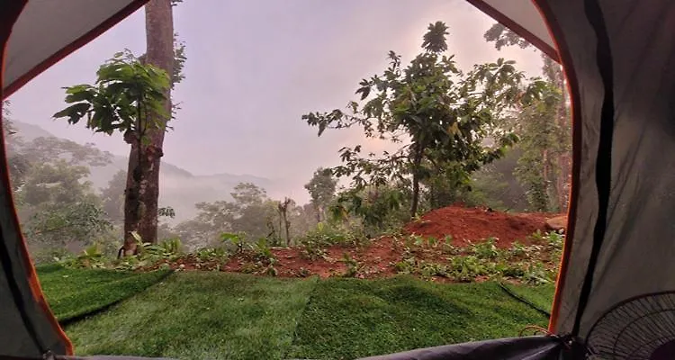 Newcastle Holidays & Resorts 5 Bhk Entire Property With Kitchen 15 Guests Near Munnar Idukki